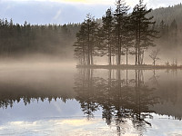 SunnivaR_20250308_67cc67e9c7420.jpg