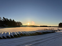 SunnivaR_20250308_67cc718bc560c.jpg