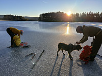 SunnivaR_20250308_67cc718cacc77.jpg