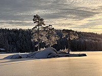 SunnivaR_20250311_67d037787c26e.jpg