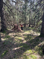 SunnivaR_20250501_681377653ce6f.jpg