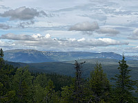 SunnivaR_20250707_686bea6c39c5c.jpg