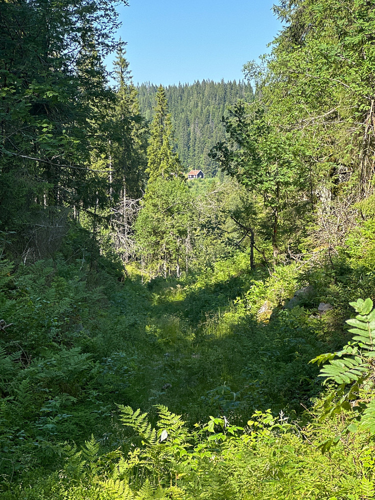 Utsikt til Fortjernsbråten fra Middagsdalen