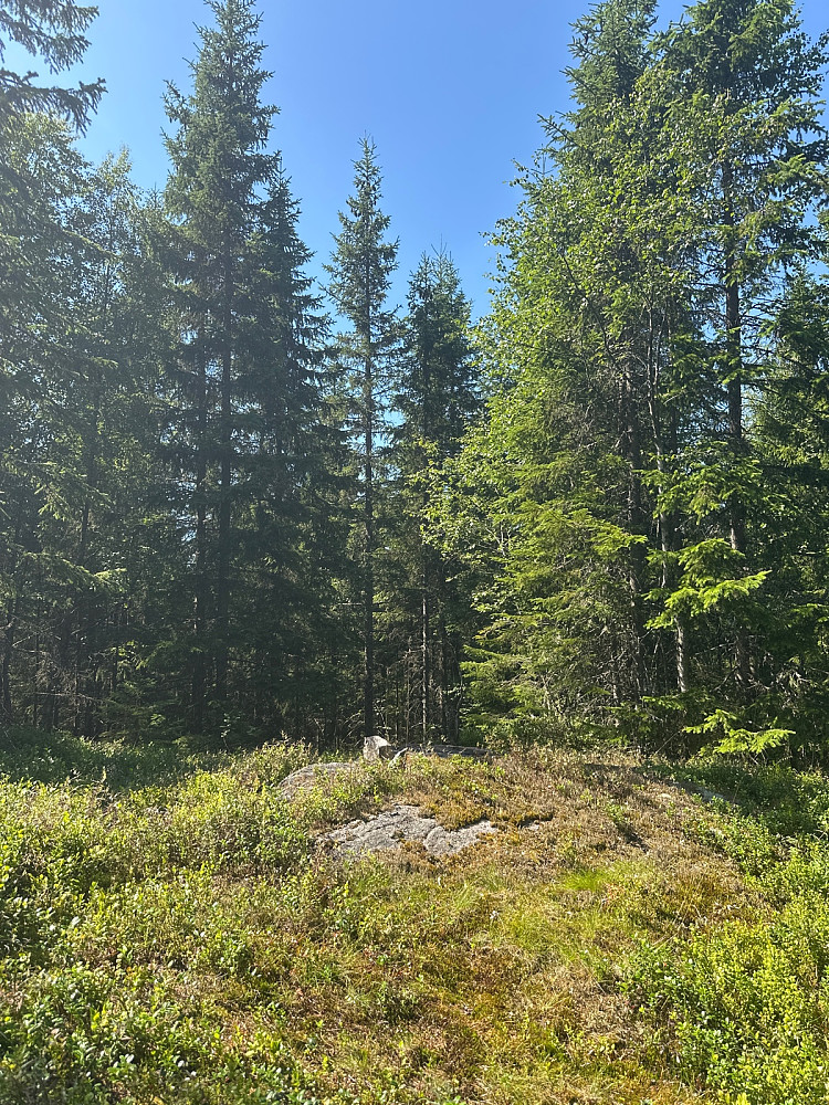 Myrtjernshøgda