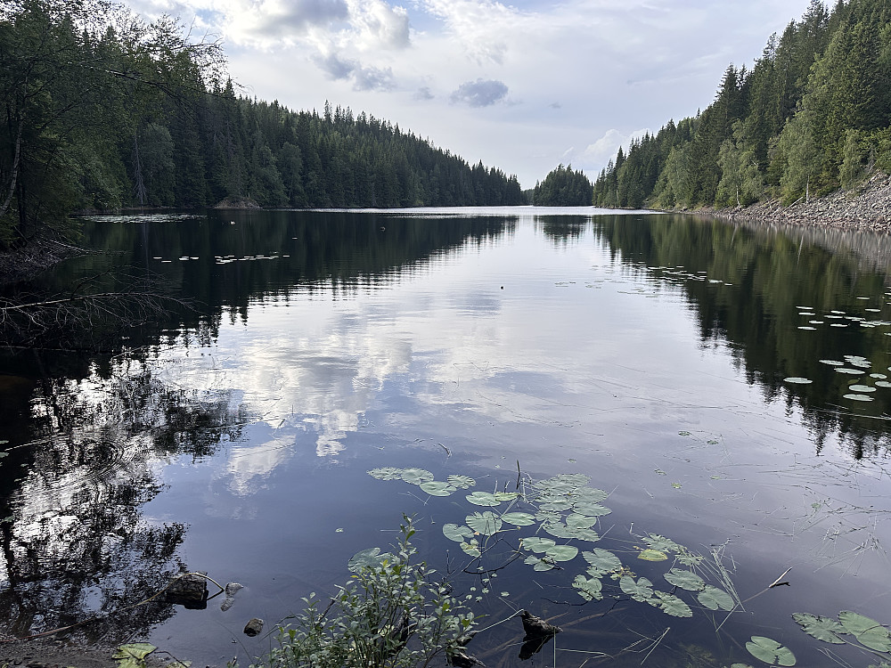 Kalvsjøen