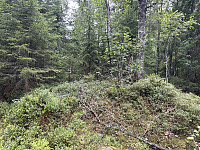 SunnivaR_20250727_6885cb92c6b93.jpg