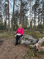 Rognil3_20250402_67ed8c32ccbec.jpg
