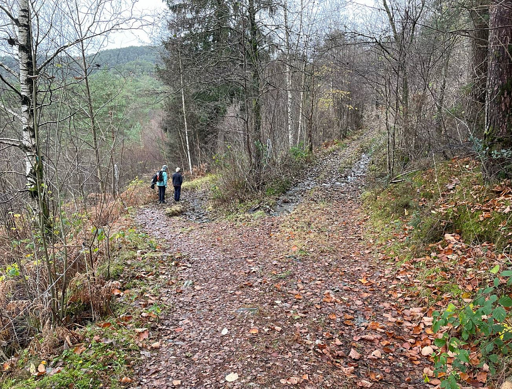 Hold til venstre her, 100 meter fra parkeringa