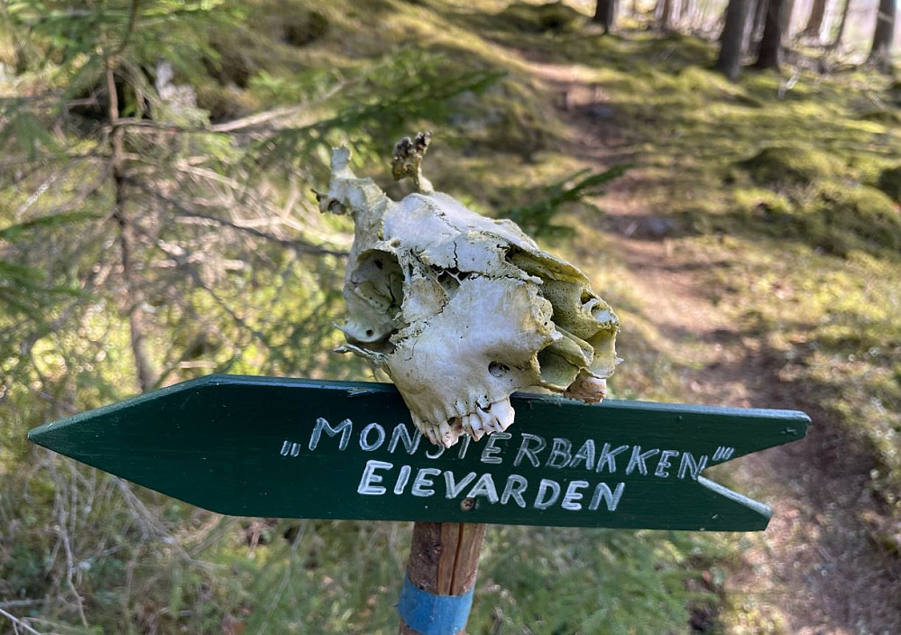 Tørr du å gå opp her??