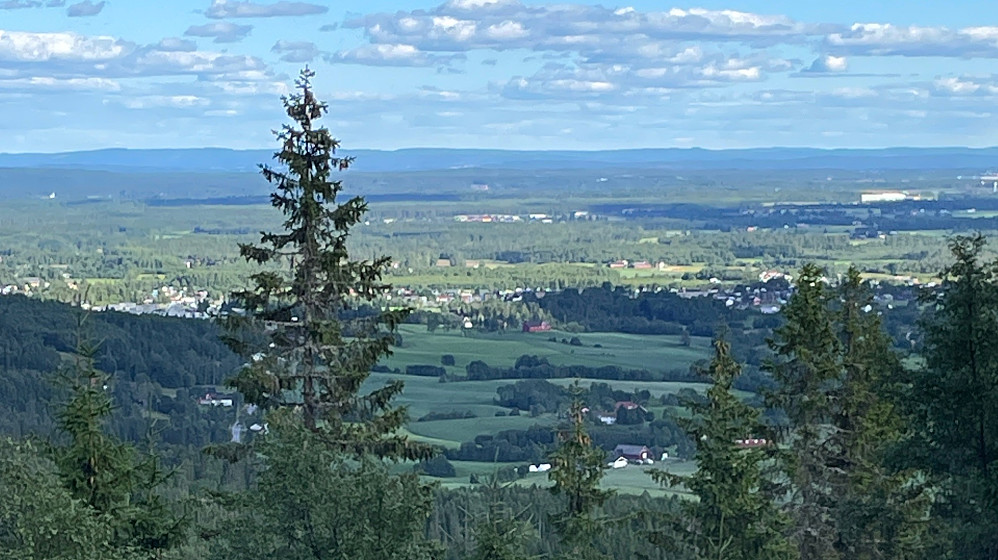 Grei utsikt fra toppen, men mye mygg