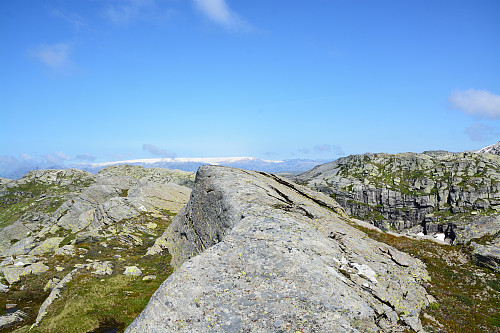 Toppen av Grønaheinuten, 1242 moh.