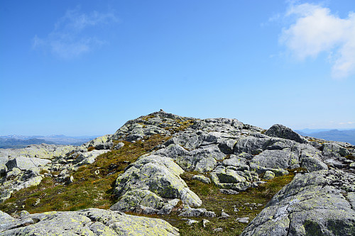 Toppen av Kvannegrødnuten, 1291 moh.