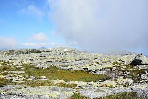 Toppen av Ingebjørgnuten, 1250 moh.