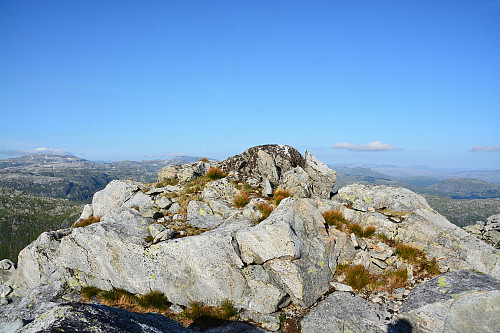 Toppen av Kuvestølnuten, 1223 moh.