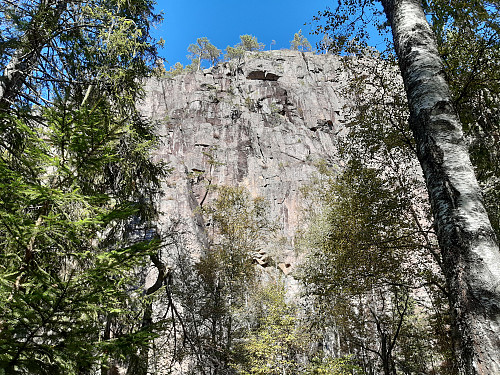 Bratt mot Damfjell.