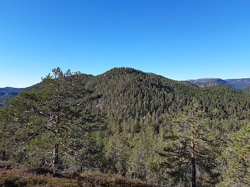 Mot Jønneberghøgda.