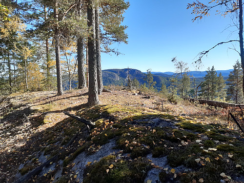 Toppen av Jønneberghøgda, 405 moh.