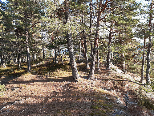 Toppen av Brattningborg, 399 moh.