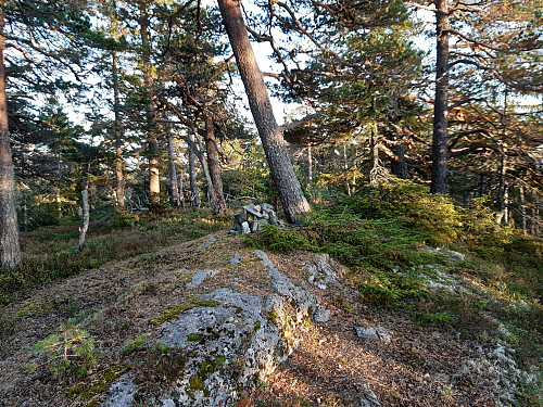 Toppen av Kringsås, 589 moh.