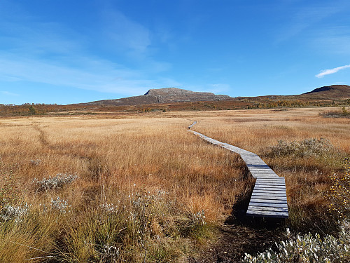 Mot Brattefjell.