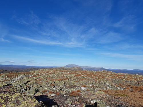 Mot Gaustatoppen.