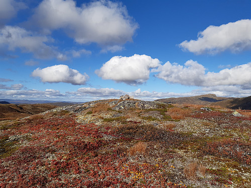 Toppen av Viernuten, 1215 moh.