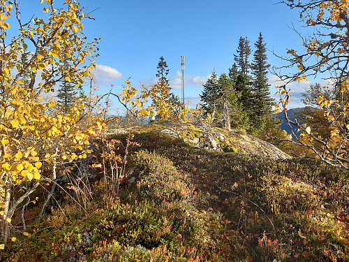 Toppen av Rindenuten, 916 moh.