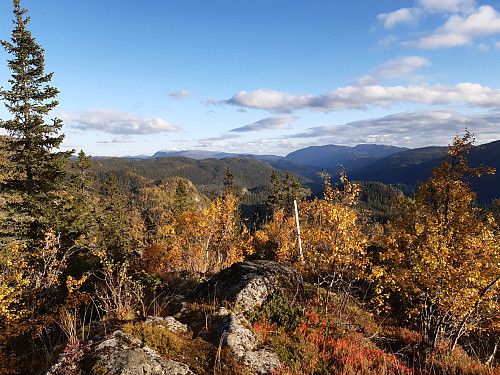 Utsikt mot Åmotsdalen.