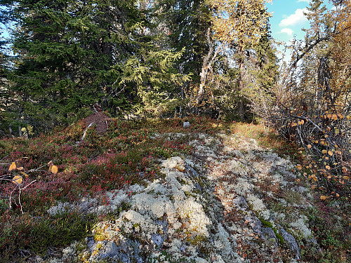 Toppen av Grovenuten, 776 moh.