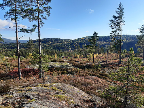 Utsikt mot stadskleiv fra Nordbøåsane