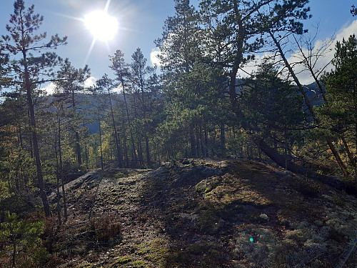 Toppen av Nordbøåsane, 204 moh.