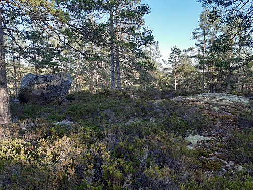 Toppen av Spirdalsnutane, 313 moh.