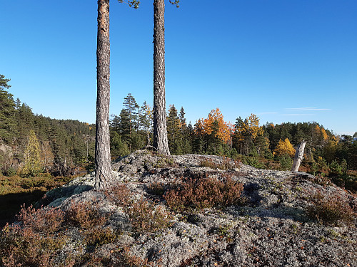 Toppen på det navnlause fjellet nordvest for Spirdalsnutane, 307 moh.