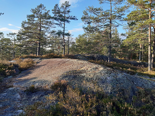 Toppen av Skrubbås, 345 moh.