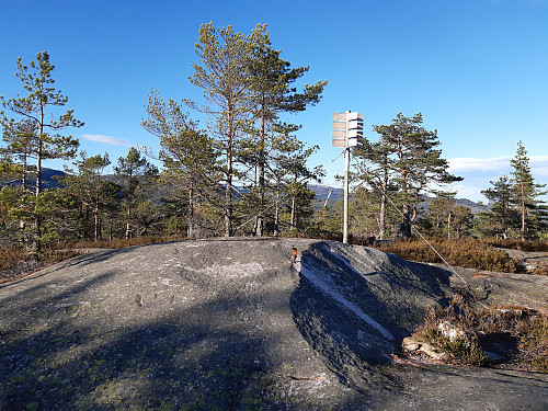 Vestlige toppunktet på Bruskor.
