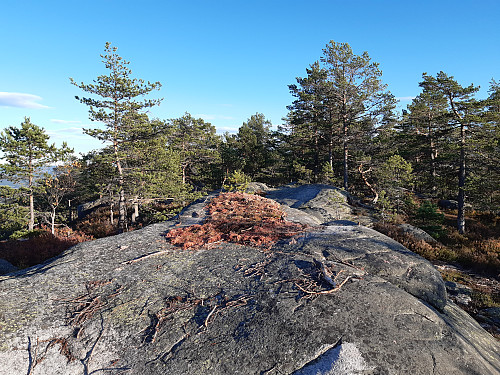 Toppen av Høyslassnuten, 375 moh.