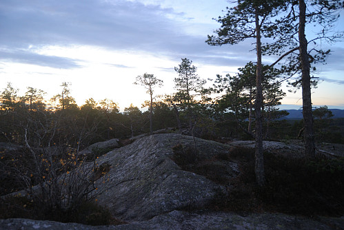 Toppen av Gygrestolen, 490 moh.