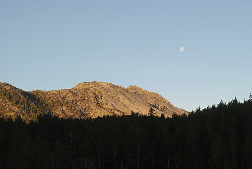 Utsyn mot Austre Roholtfjell.