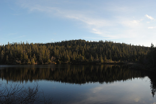 Mot Tåråfjellet.