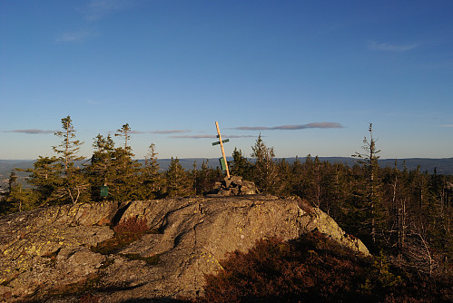 Toppen av Tåråfjellet, 826 moh.