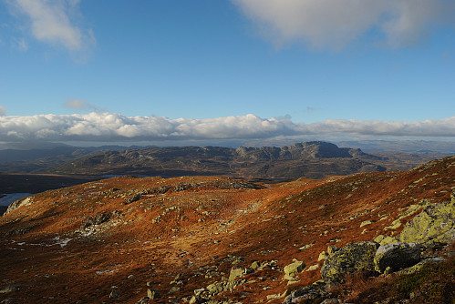 Mot Fentnuten og Bosnuten.