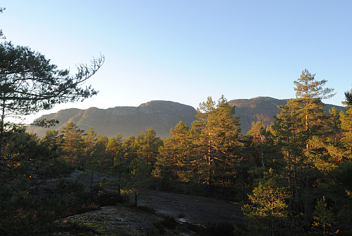 Utsyn mot Blåfjell og Skjenan.