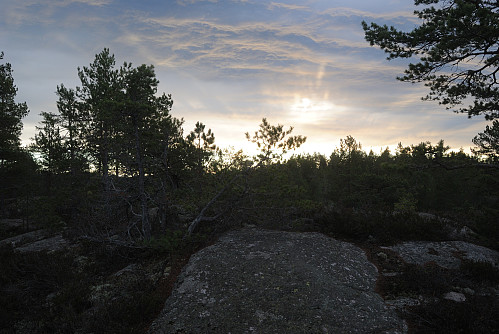Toppen av Fisketigen, 351 moh.