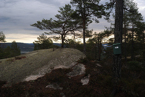 Toppen av Sveigefjell, 337 moh.