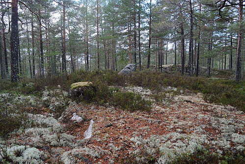 Toppen av Åsekollen, 203 moh.