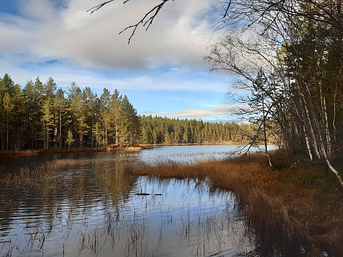 Utsyn mot Åstjønna.