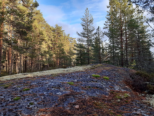 Toppen på den navnlause åsen nord på Breisås, 389 moh.