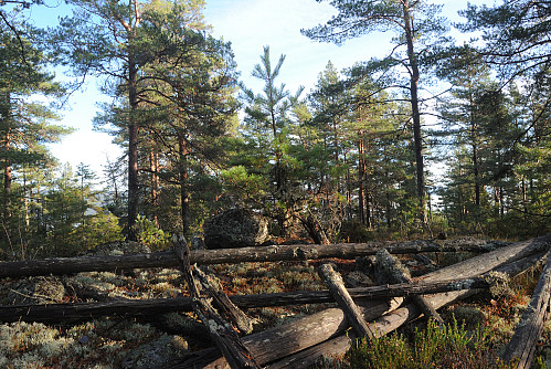 Rester av eit triggpunkt på toppen av Fagerlikollen, 238 moh.