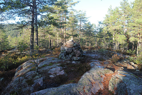 Toppen av Igletjønnfjell, 232 moh.