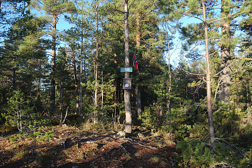 Toppen av Harpås, 210 moh.